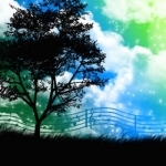 Nature Music - Relaxing Sounds Of Nature to Calm, Reduce Stress &amp; Anxiety Release