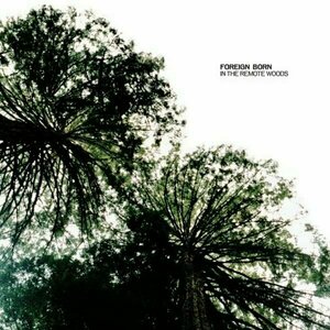 In the Remote Woods by Foreign Born