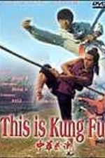 Zhong hua wu shu (This Is Kung Fu) (1994)