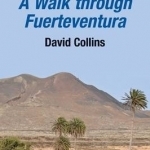 A Walk Through Fuerteventura