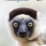 Wildlife of Madagascar