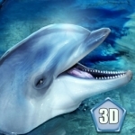 Sea Dolphin Simulator 3D