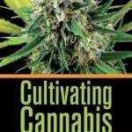Cultivating Cannabis in the 21st Century