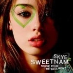Noise from the Basement by Skye Sweetnam