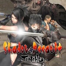 Shadow Assault: Tenchu