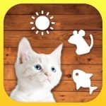 Cat Mate - Toys and games for cats