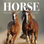 Horse: Magnificent, Playful, Loyal
