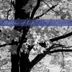 Branches Of Life by Rebecca L Bolam &amp; The Issues