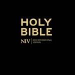 NIV Thinline Black Hardback Bible: NIV : New International Version
