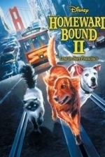 Homeward Bound II - Lost in San Francisco (1996)
