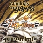 Cumbias con Garra Popurrimix by Los Tigrillos