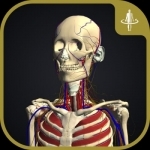 teamLabBody-3D Motion Human Anatomy-