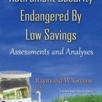 Retirement Security Endangered by Low Savings: Assessments &amp; Analyses