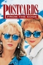 Postcards from the Edge (1990)