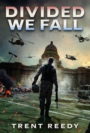 Divided We Fall (Divided We Fall, #1)