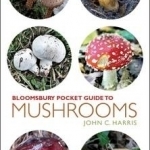 Pocket Guide to Mushrooms