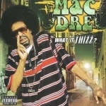 What It Thizz? by Mac Dre