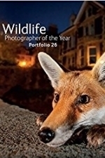 Wildlife Photographer of the Year: Portfolio 26