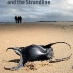 The Essential Guide to Beachcombing and the Strandline