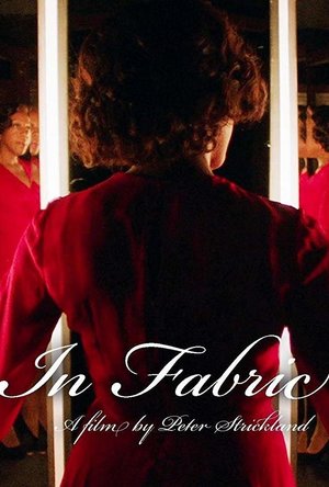 In Fabric (2018)