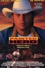 Painted Hero (1997)