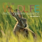 British Wildlife Photography Awards: Collection 4