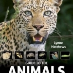 Guide to the Animals of Southern Africa