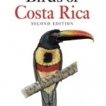 A Birds of Costa Rica