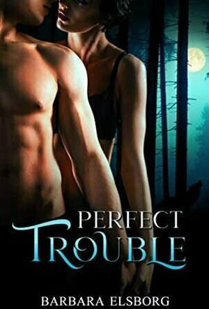 Perfect Trouble