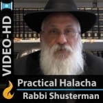 Practical Halachah on the Laws of Shabbat (Video-HD)