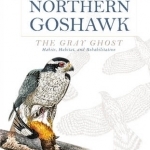 Northern Goshawk, the Gray Ghost: Habits, Habitat, and Rehabilitation