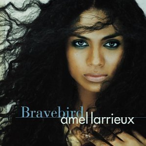 Bravebird by Amel Larrieux