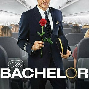 The Bachelor