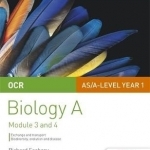 OCR AS/A Level Year 1 Biology A Student Guide: Module 3 and 4: 2