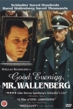 Good Evening, Mr. Wallenberg (1993)