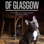 Pub Dogs of Glasgow