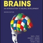 Building Brains: An Introduction to Neural Development