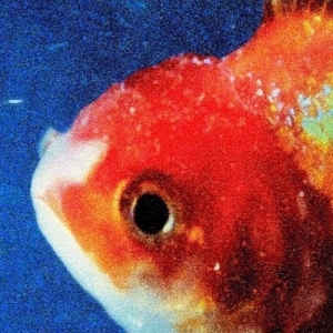 Big Fish Theory  by Vince Staples
