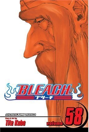 Bleach Vol. 58: The Fire