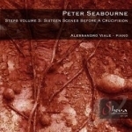 Peter Seabourne: Steps, Vol. 5 - Sixteen Scenes before a Crucifixion by Alessandro Viale