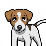 JackMoji - Jack Russell Emoji &amp; Stickers