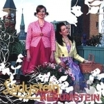 Albumstein by Ladystein