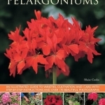 Pelargoniums: An Illustrated Guide to Varieties, Cultivation and Care, with Step-by-step Instructions and Over 170 Beautiful Photographs