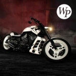 Sports Bike - Wallpapers & Backgrounds Free