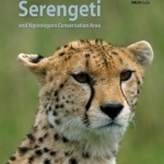 Animals of the Serengeti: And Ngorongoro Conservation Area