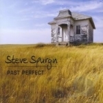 Past Perfect by Steve Spurgin