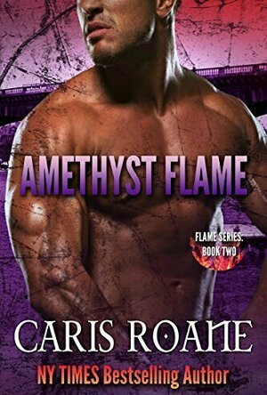 Amethyst Flame (Flame #2)