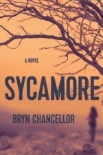 Sycamore 