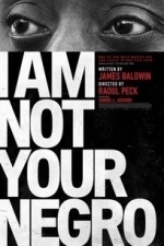 I Am Not Your Negro (2017)