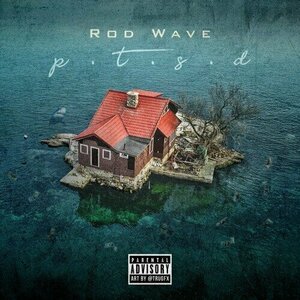 PTSD by Rod Wave